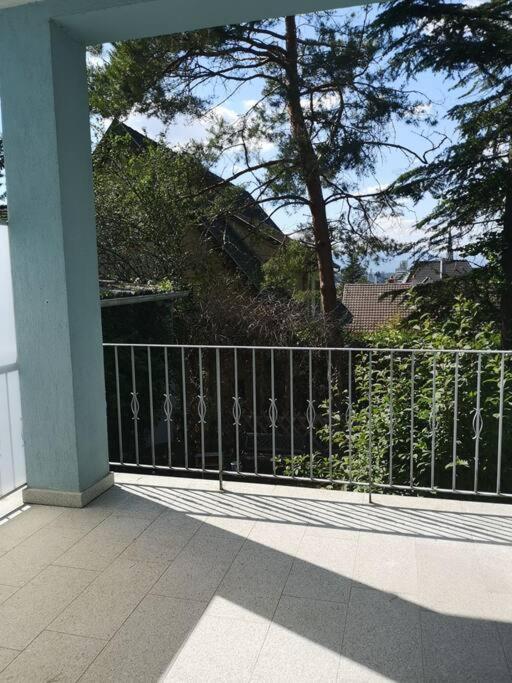Appartement Le Bellevue Dans Maison De Maitre De 1920 Riedisheim Εξωτερικό φωτογραφία